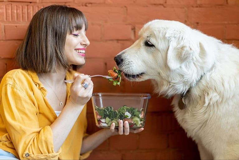 Dog enjoying healthy salad with owner.