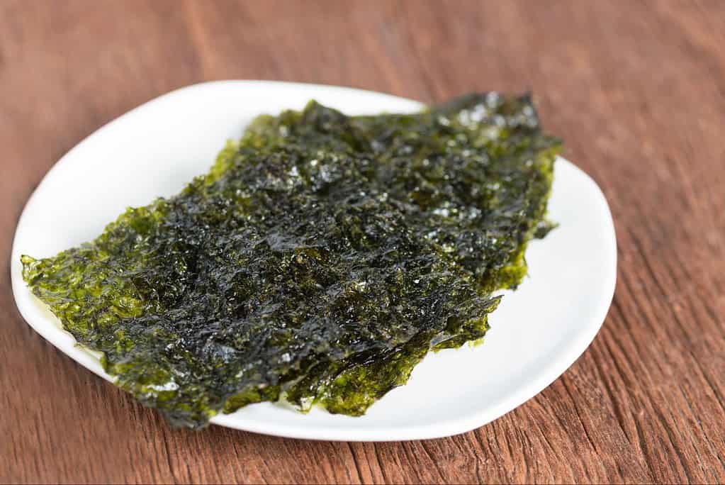 Can Dogs Eat Seaweed