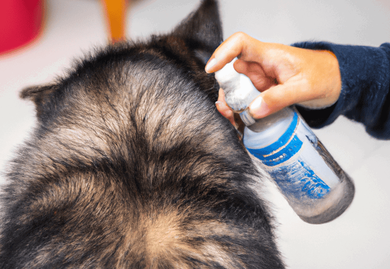 Dog grooming and furry coat care using a grooming spray.