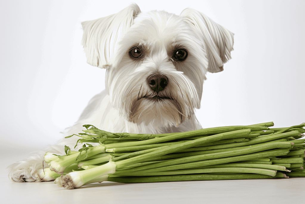 Dog with fresh green celery sticks, promoting nutritious pet diets, healthy dog tips, and natural food choices for dogs.