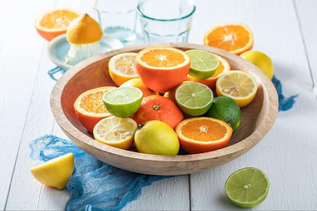 Fresh citrus fruits including lemons, limes, oranges, and a grapefruit, for dog-friendly snacks or treats.