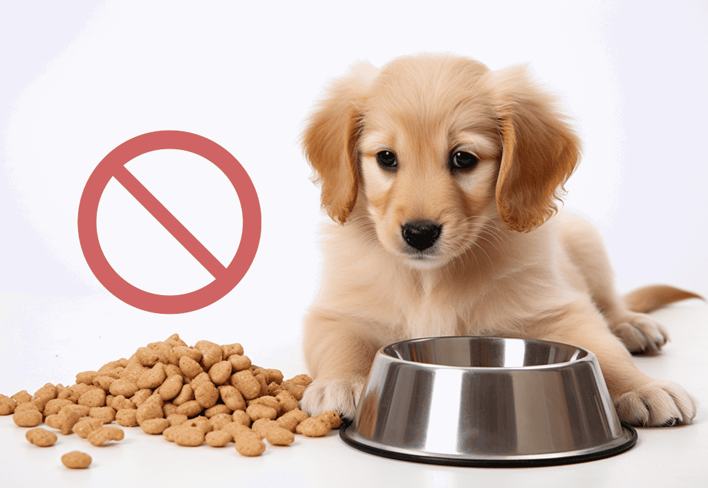 Can Puppies Eat Adult Dog Foods
