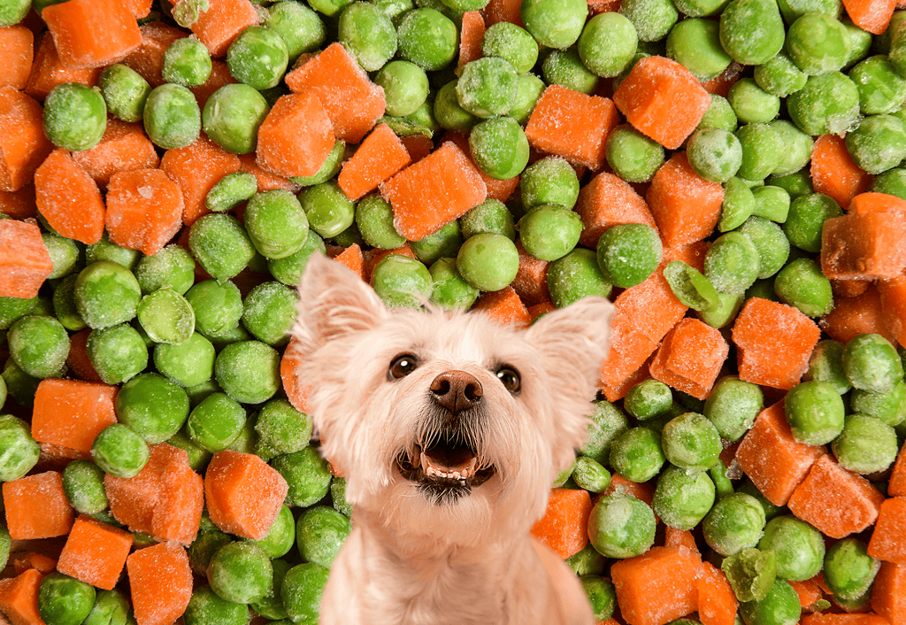 Fresh carrots and green peas for healthy dogs.