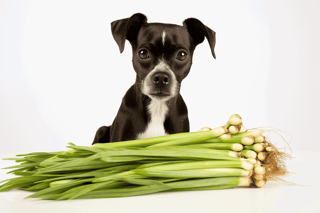 Adorable puppy with fresh green onions, emphasizing natural dog diet and wellness.