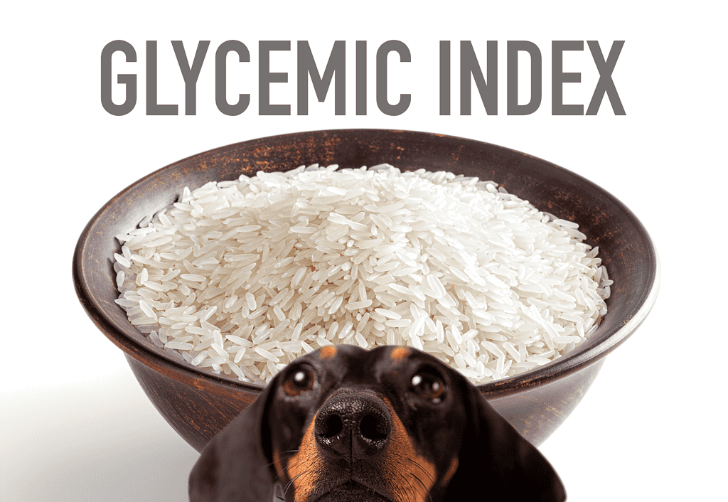 Dog with rice bowl, dog nutrition, Glycemic index of pet food, healthy dog diet.