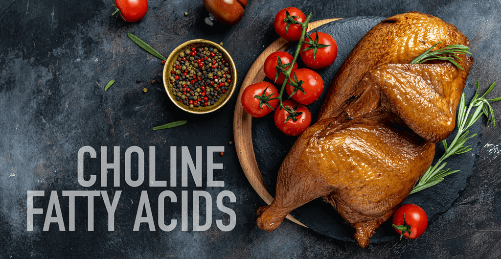 Delicious roasted meat with fresh cherry tomatoes, herbs, and seasoning on a rustic dark background.