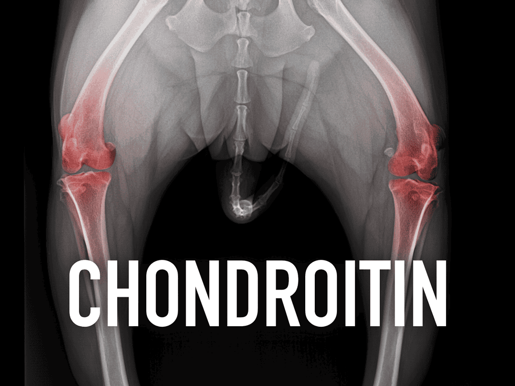 Dog friendly hip dysplasia and joint health solutions from Dogfix.