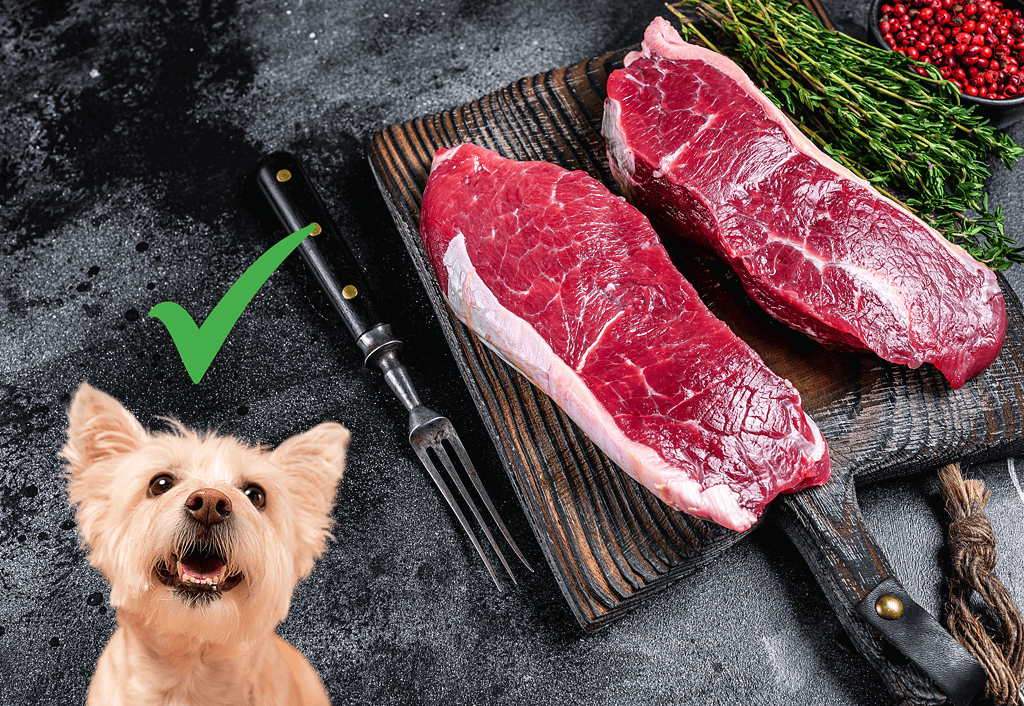 Fresh raw beef for dogs, high-quality pet nutrition, healthy dog diet, natural dog food ingredients.
