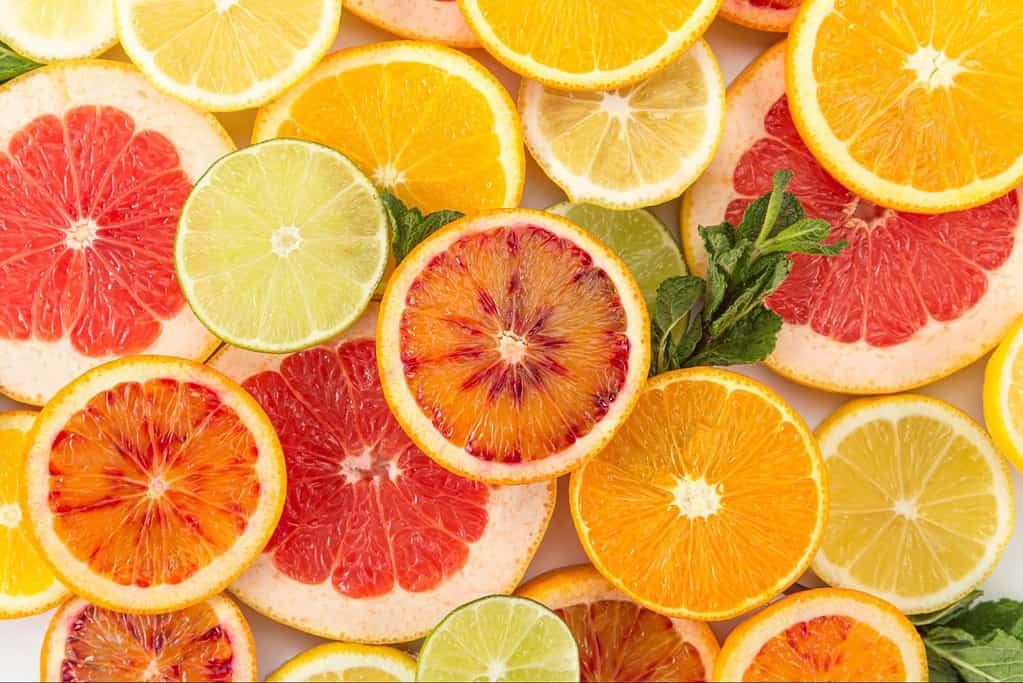Citrus Fruits – Yay or Nay