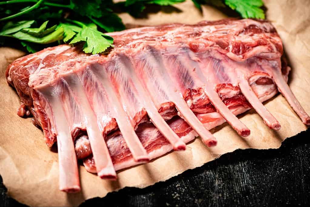 Fresh raw beef ribs for dog nutrition and health. High-quality raw meat bones for canine dietary needs.