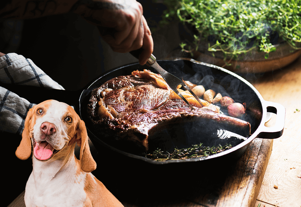 Focused image of a juicy steak being cooked in a skillet, with a cheerful dog in the foreground, highlighting pet-friendly food options and kitchen safety.