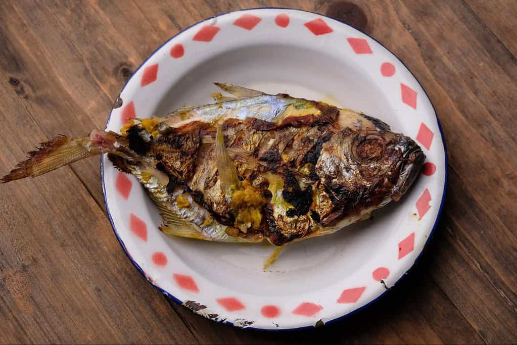 Pet-safe grilled fish served on a decorative plate for dogs and cats.