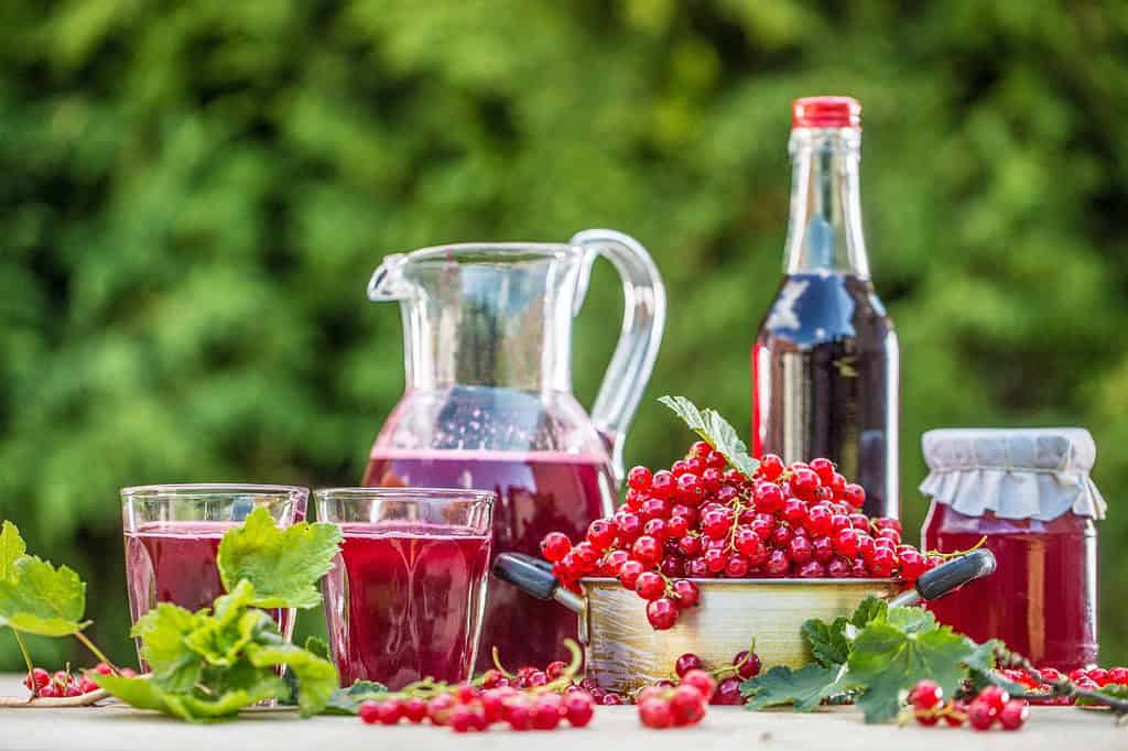 Bright red currants, juice, and berry products displayed outdoors for healthy refreshment and natural ingredients.