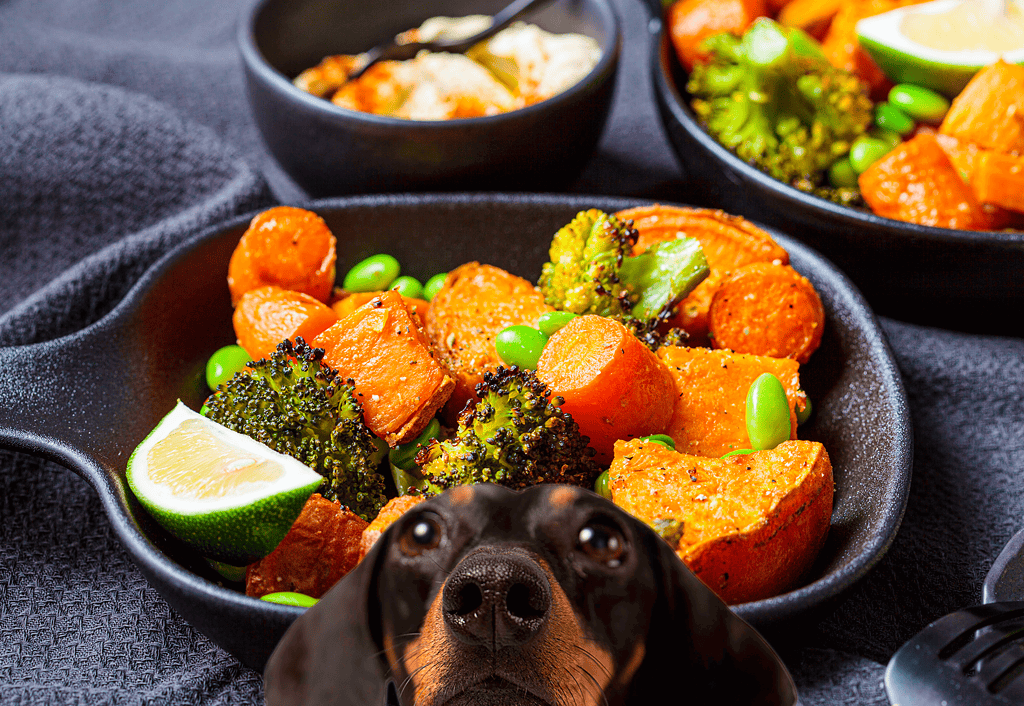 Dog-friendly healthy meal featuring sweet potatoes, broccoli, and edamame for optimal canine nutrition.