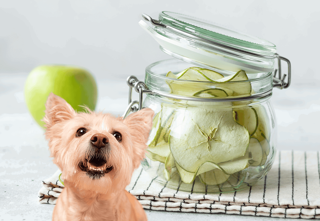 Dog-friendly apple and cucumber treats for dogs, fresh and healthy snacking options.