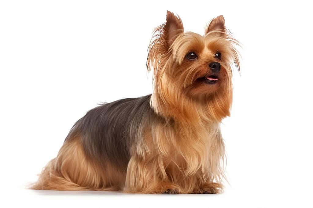 Does It Help With Itchy Skin