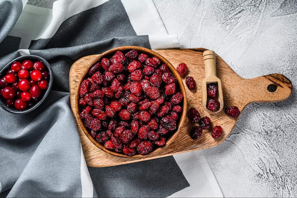 Dried cranberries – a safe snack for my fur friend