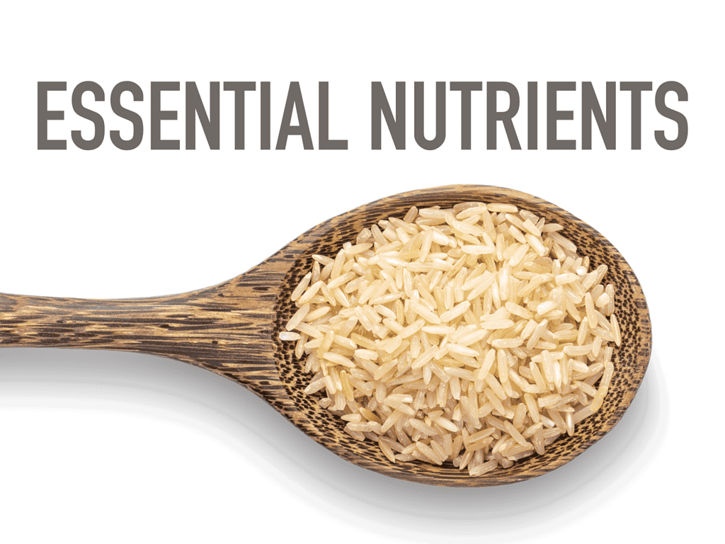 Healthy energy source for dogs.