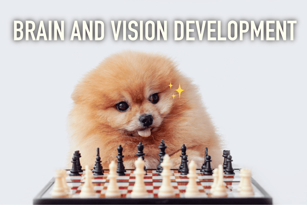 Cute puppy playing chess for dog mental stimulation and agility.