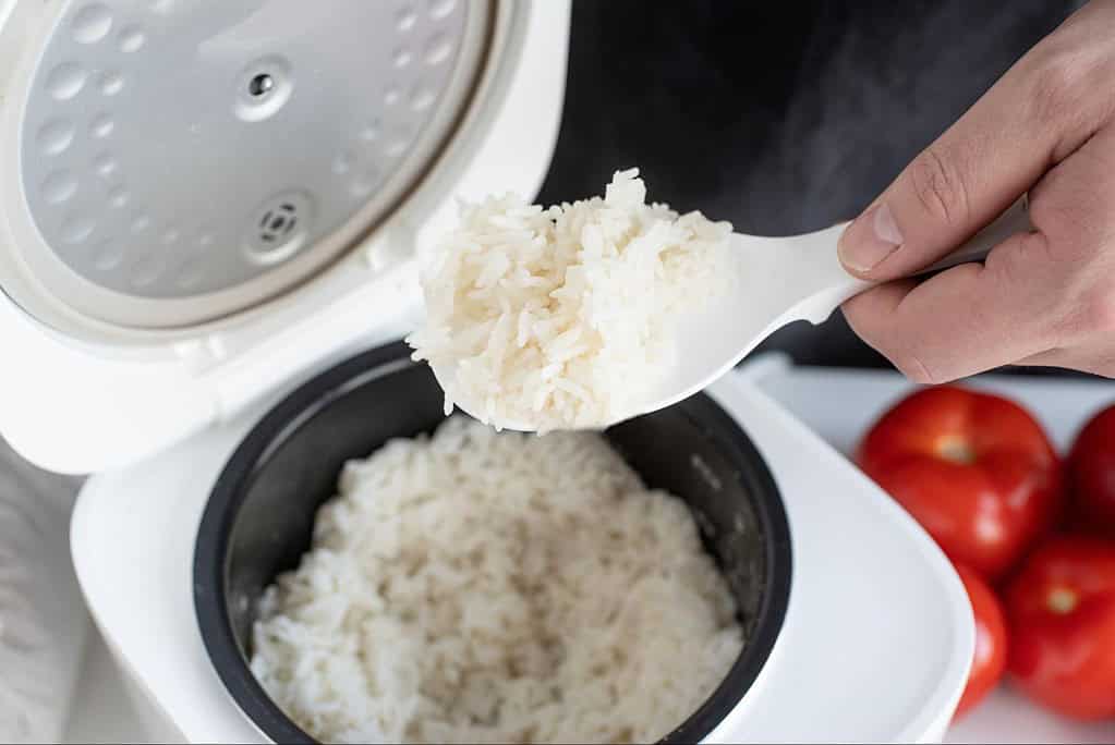 Feeding Jasmine Rice Safely