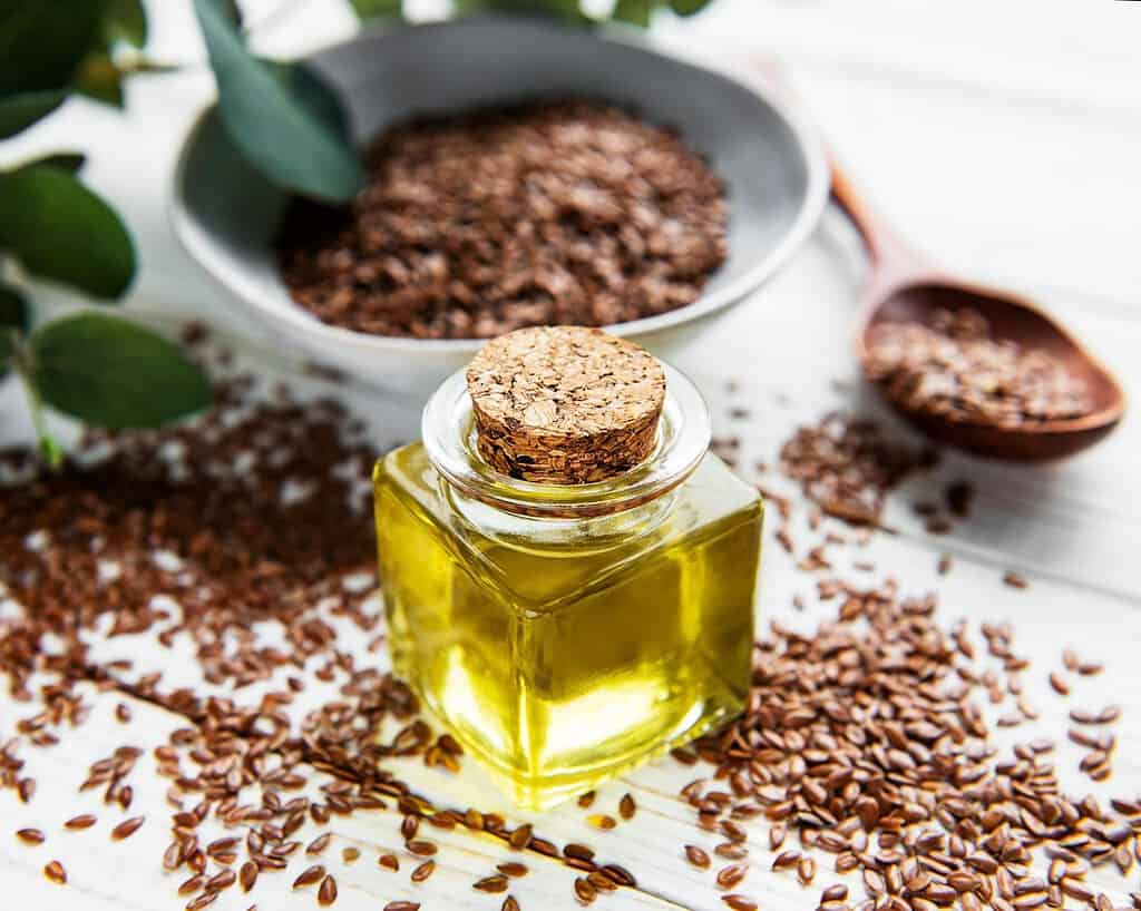Flax Seeds vs Flaxseed Oil