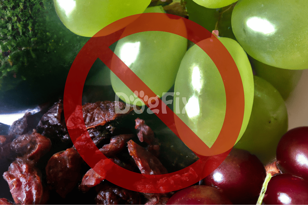 High-quality, dog-safe produce including grapes, raisins, and healthy vegetables for pets.