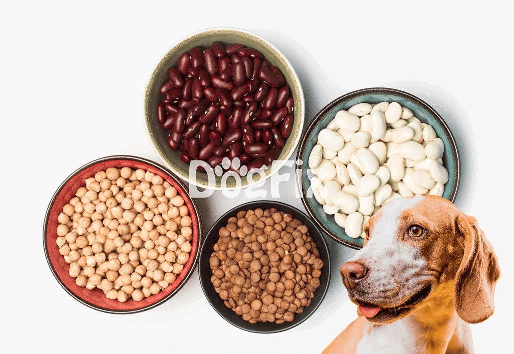 Healthy beans in bowls for dog food nutrition.