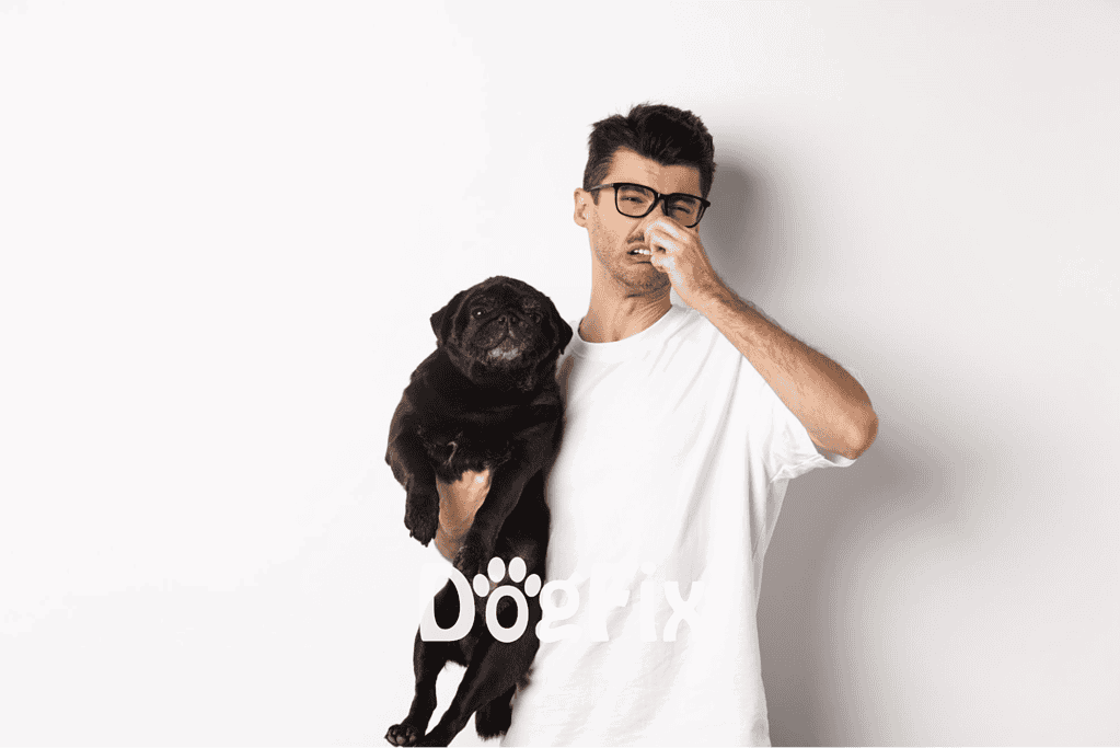 Adorable pug dog and young man with allergy or cold symptoms, emphasizing pet health and care services.