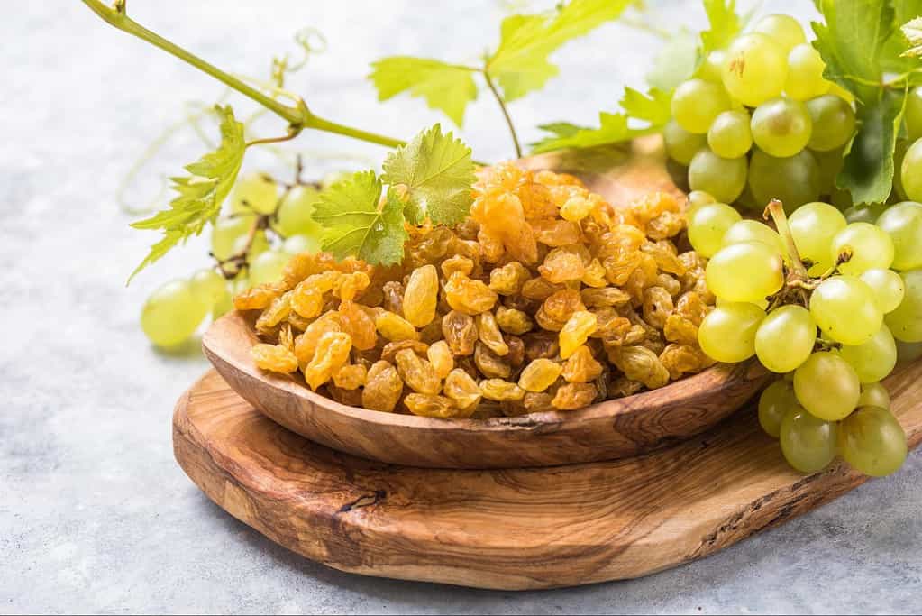 Fresh green grapes and raisins on a wooden tray, safe dog treats high in antioxidants and vitamins.