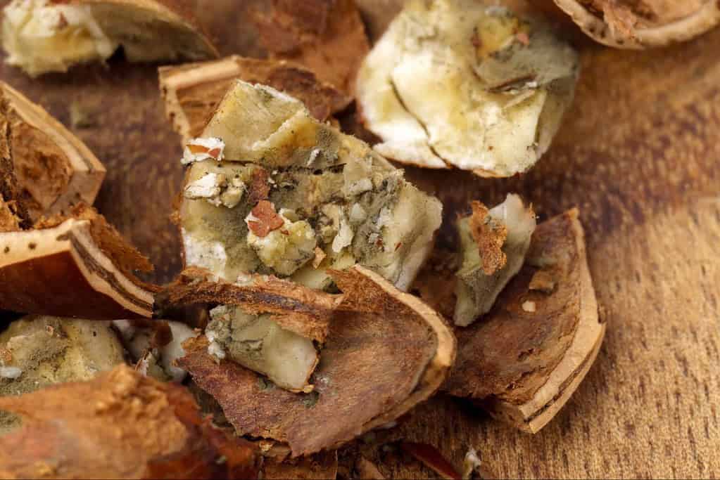 Close-up of dried rose petals showcasing their texture and natural color. Perfect for floral decor and crafts.