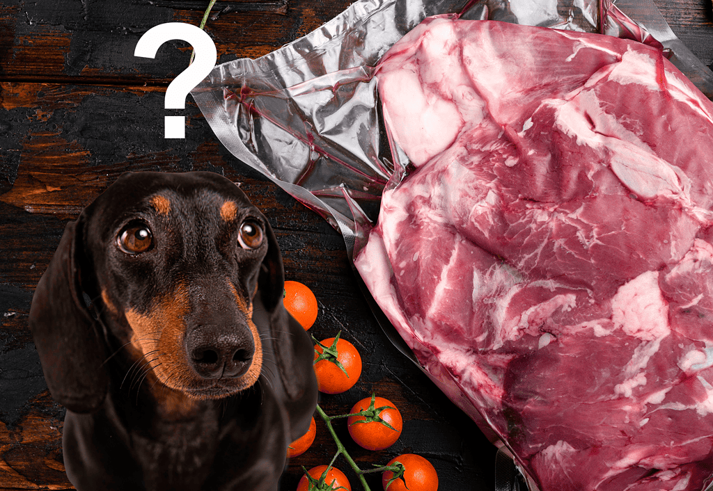 Dog looking at raw meat and cherry tomatoes on dark wooden background.