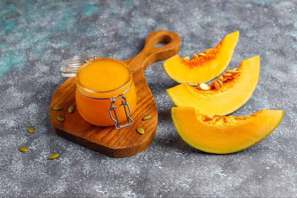 Fresh butternut squash slices and vibrant pumpkin puree for healthy dog snacks.