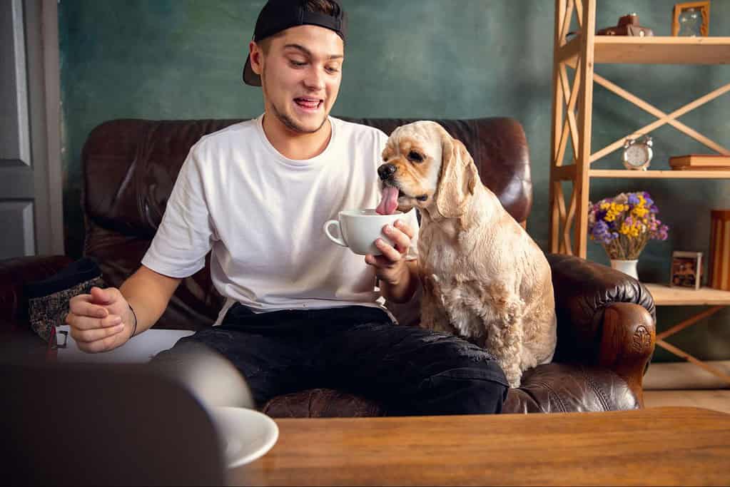 Cute dog licking owner's hand with a coffee mug in living room.