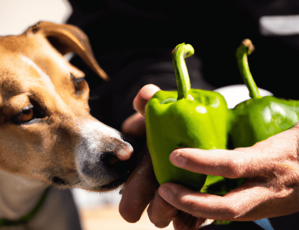 Close-up of a dog sniffing fresh green peppers in a person's hand.