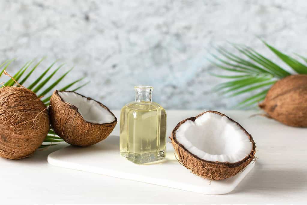 Natural coconut oil in a glass bottle with coconut halves on a white background.