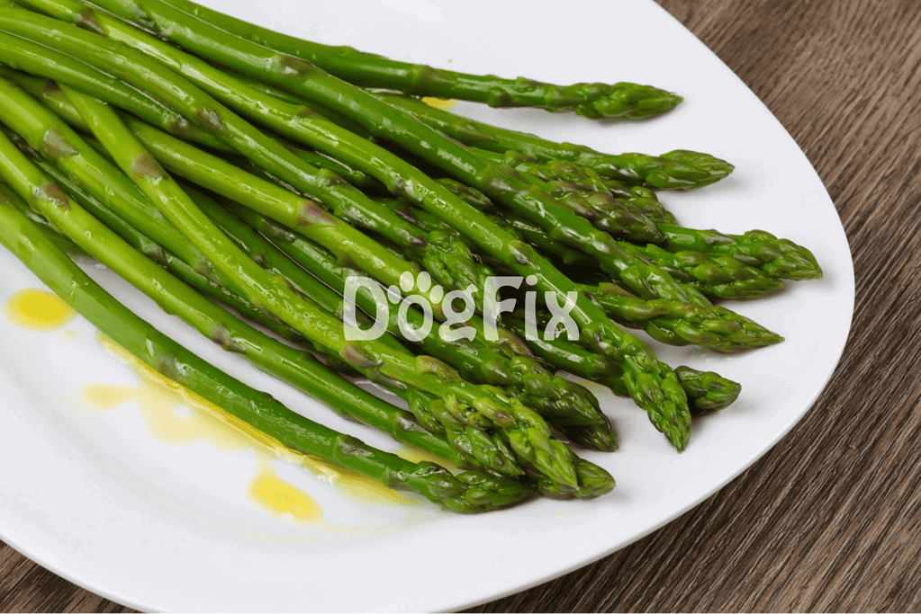 Healthy green asparagus for dog diets, fresh vegetable, nutritious, and low-calorie treat.