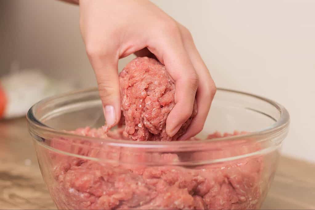 Homemade healthy dog food with fresh ground meat for pets.