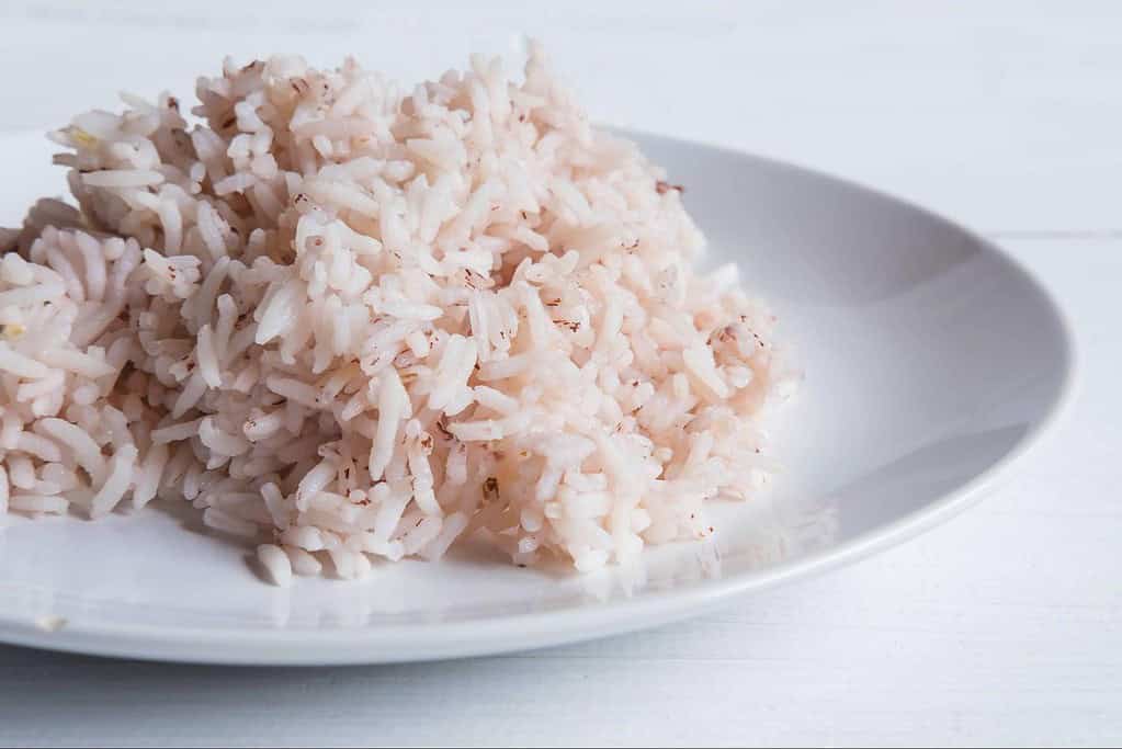 Healthy cooked rice for dogs on a white plate, ideal for dog nutrition and digestion.