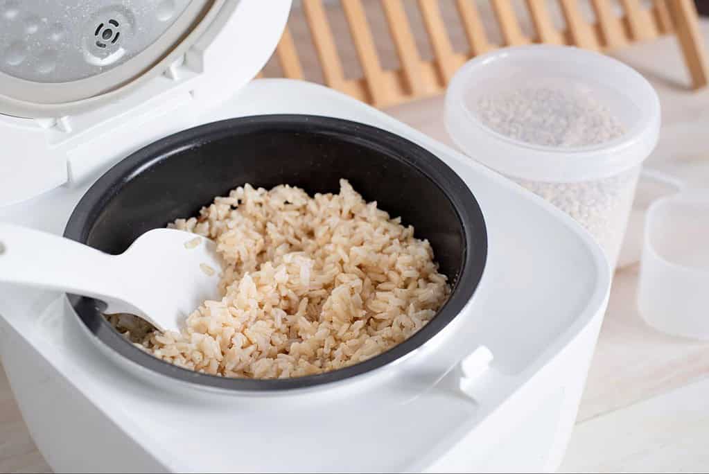 High-quality rice cooked in a pet-friendly rice cooker for healthy dog food.