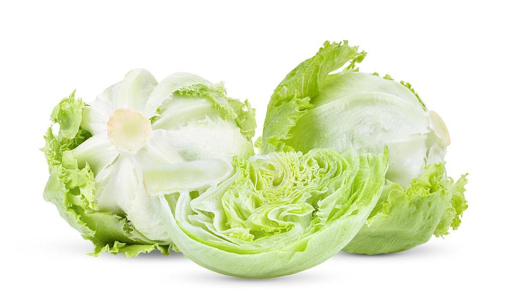 Iceberg Lettuce