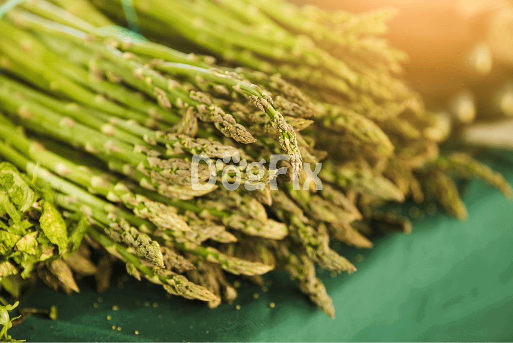 Is asparagus like a health bonus for dogs