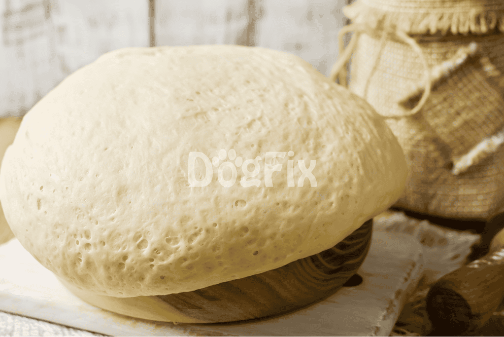 Fresh homemade cheese wheel ideal for dog treats and pet nutrition.