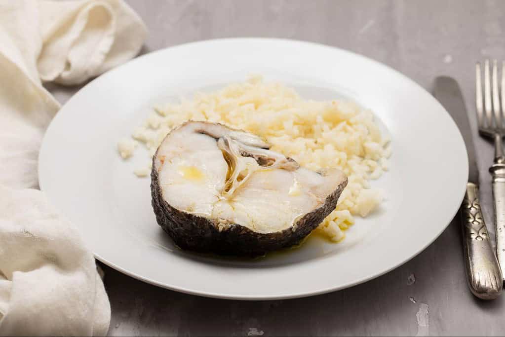 Healthy fish and potato meal for dogs, natural pet nutrition, fresh homemade dog food.