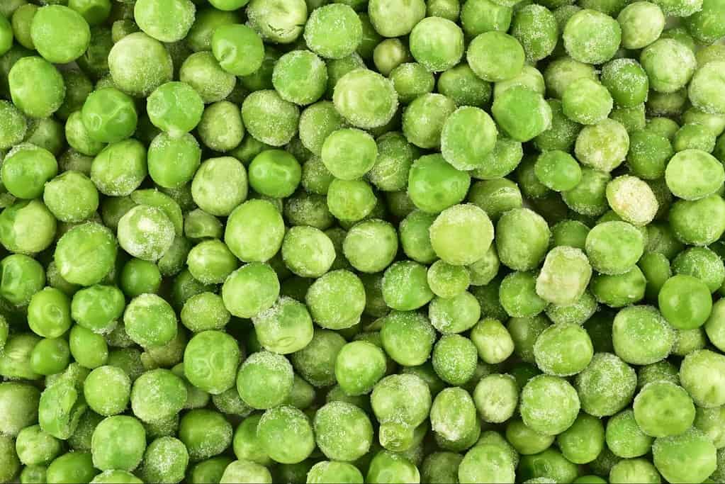 Vibrant frozen green peas with frost for nutritious dog treats or meals.