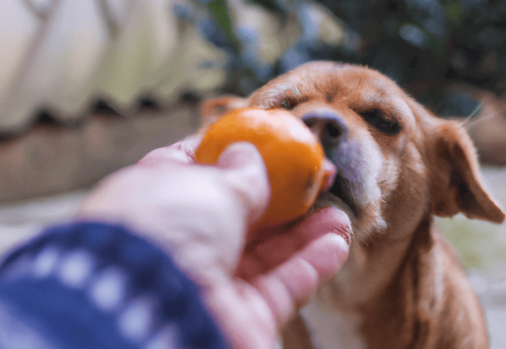 Keep an Eye on the Reactions