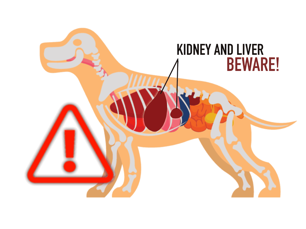 Kidney and Liver Issues