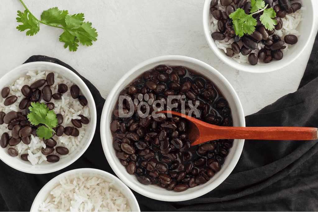 Rich black beans and white rice served with cilantro, perfect for nutritious dog treats and snacks.