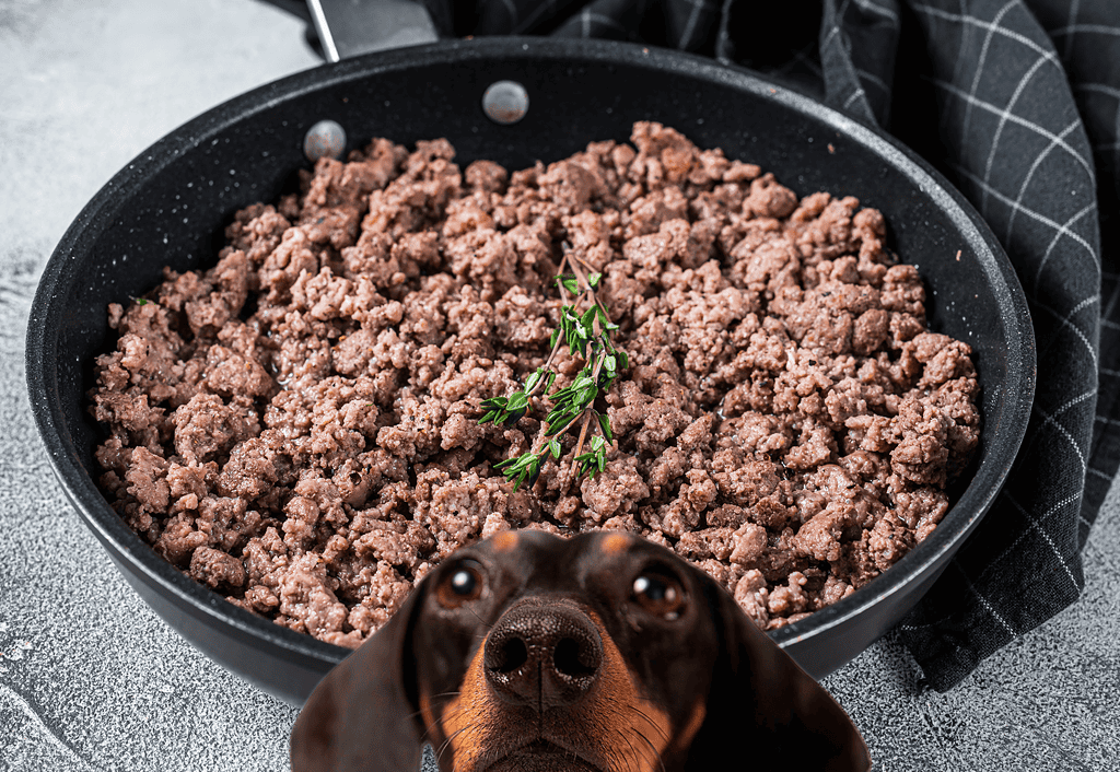 Delicious home-cooked ground beef dog food with herbs in a black bowl.
