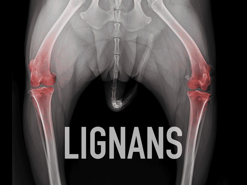 Is Flaxseed Oil a Good Fit for My Furry Friend