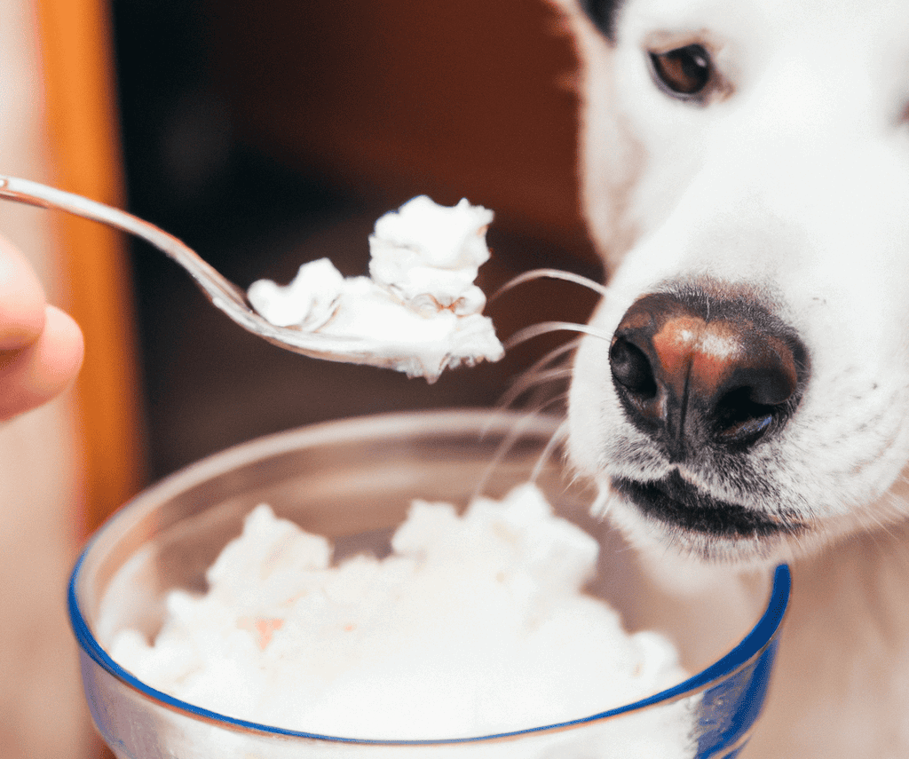 Dog-friendly ice cream for pets.